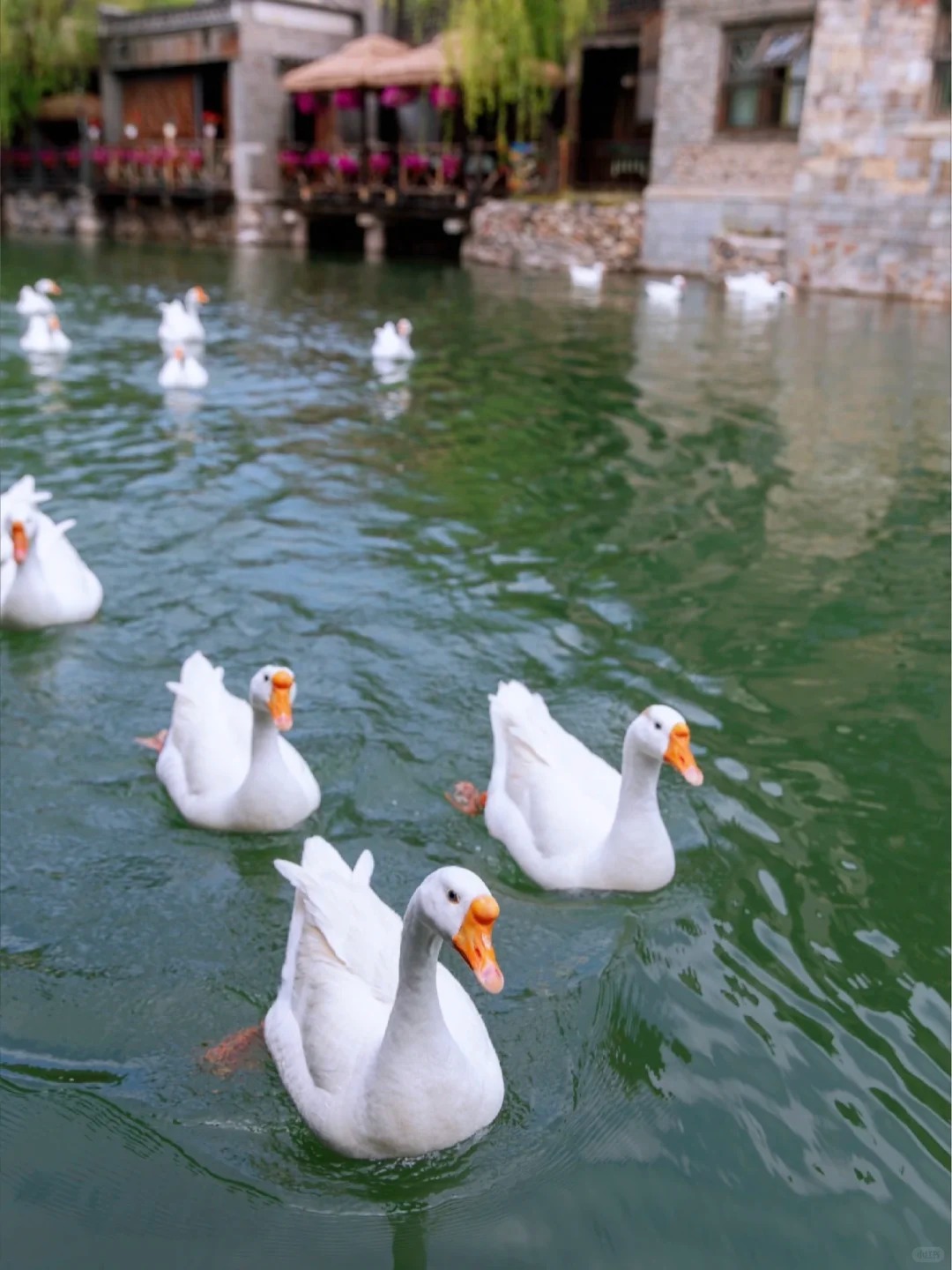 北京→古北水镇 _ 包车直达攻略_3_慕快客旅游_古北水镇-北京-来自52tours 我爱旅游网